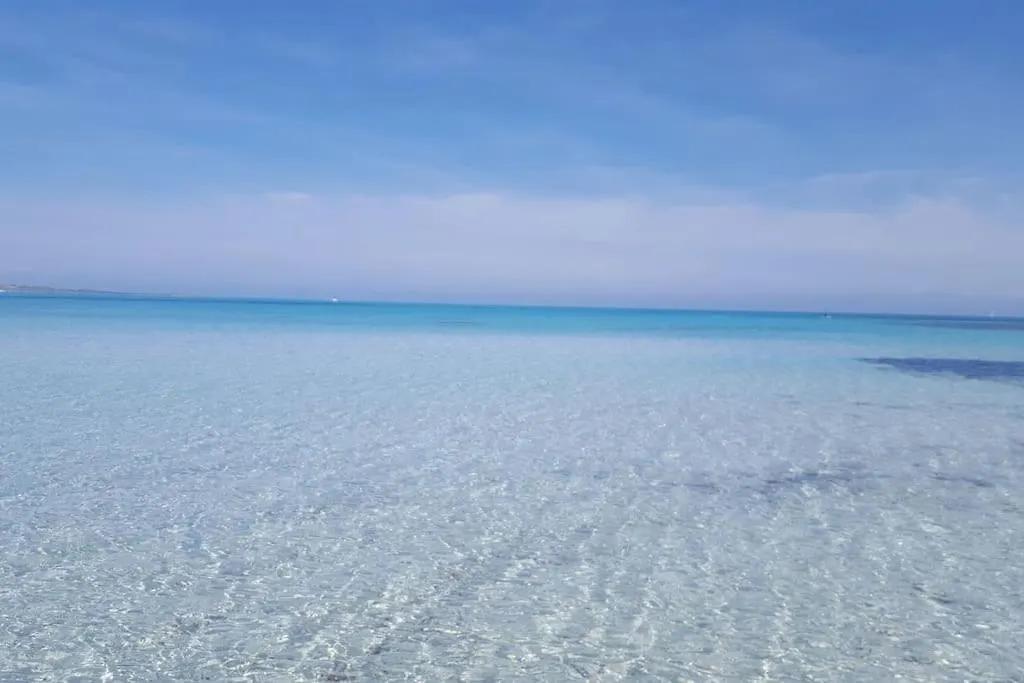 Apartmán Da Gabry Al Centro! Olbia Itálie